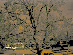 First snow from front porch; West Avenue